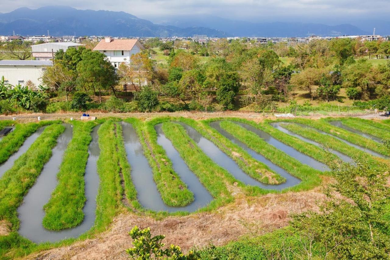 冬山郷Fish House 宜蘭獨棟別墅 戲水池 生態diy 安農溪自行車アパートメント エクステリア 写真